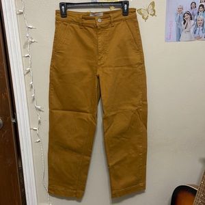 Everlane Cropped Straight Regular Jeans